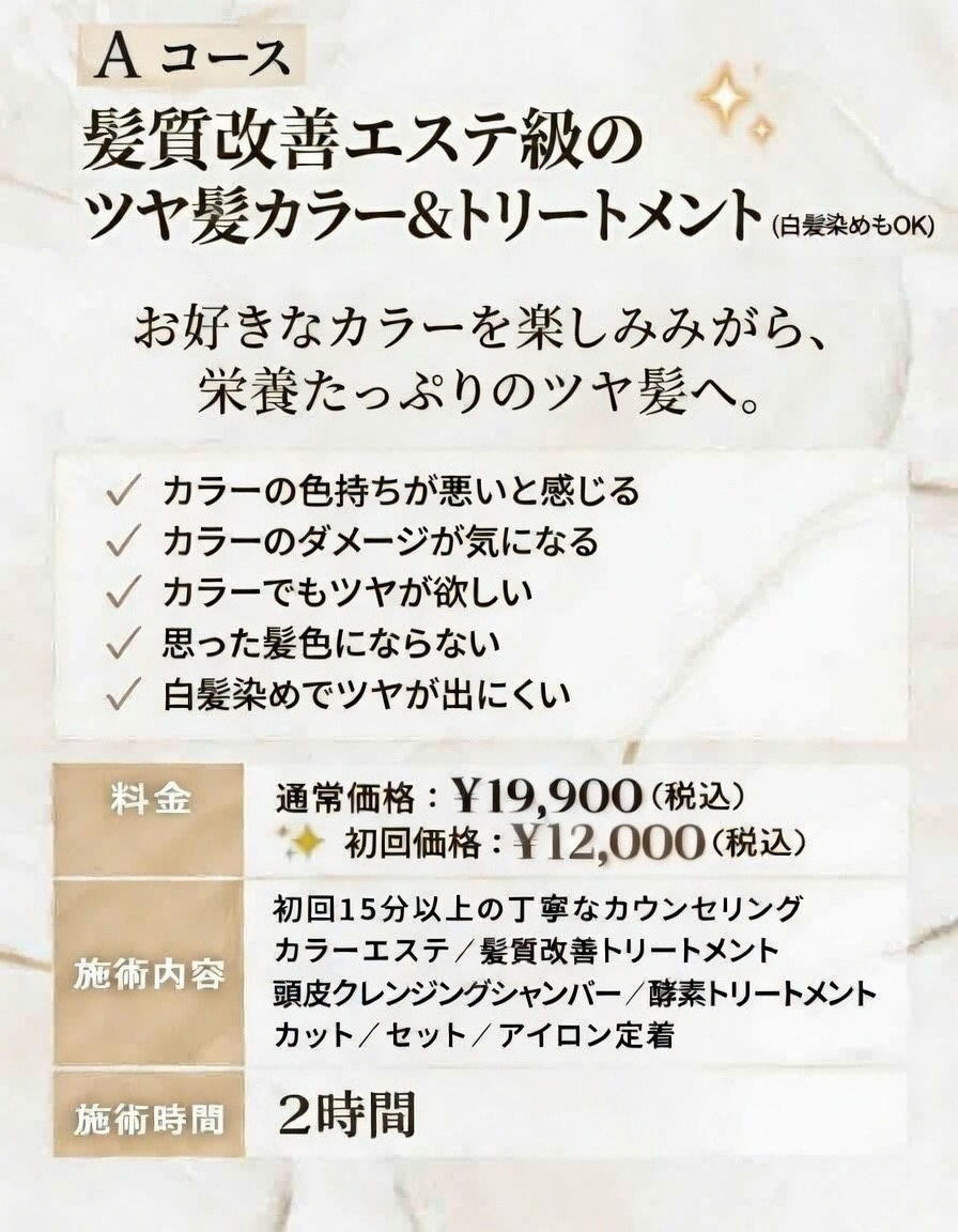 Aコース詳細